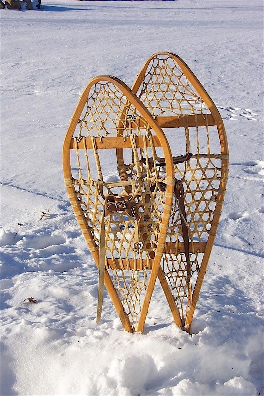 Ranger-Guided Snowshoe Walk: Native Animals at Lower Kit Carson Parking ...