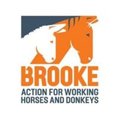 Brooke, Action For Working Horses and Donkeys