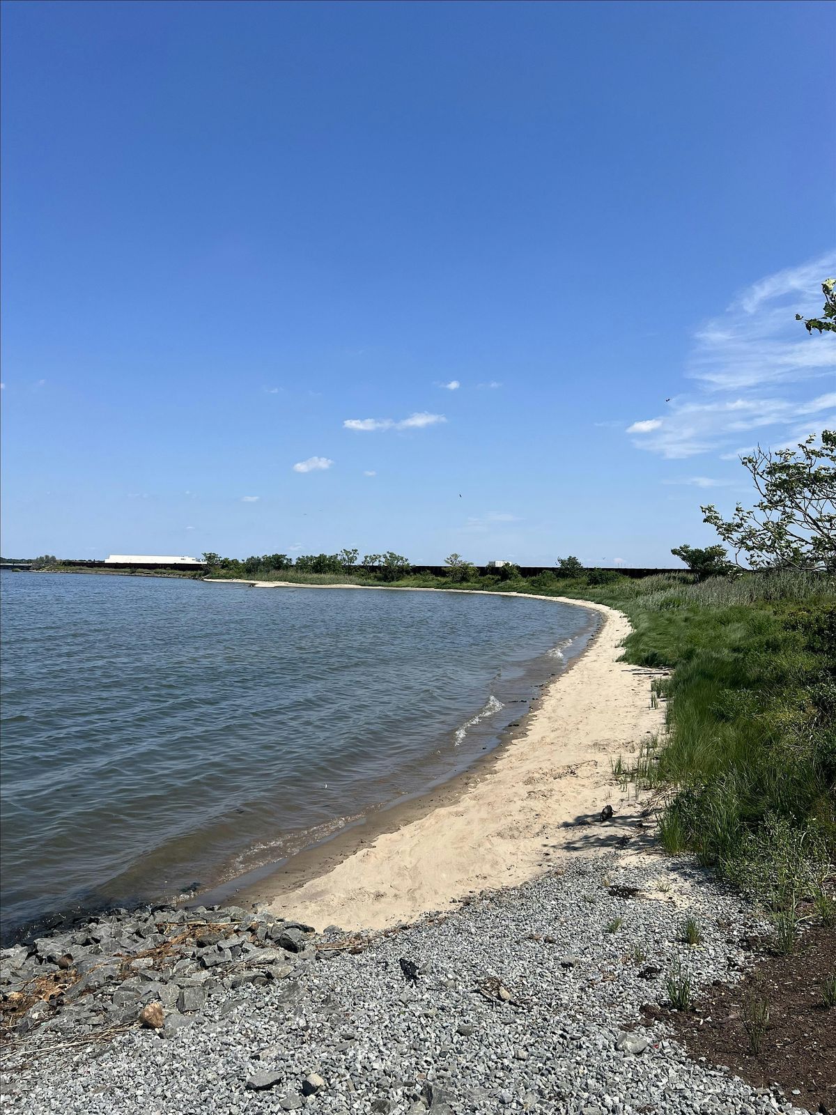 East Pond Shoreline Cleanup at the Jamaica Bay Wildlife Refuge