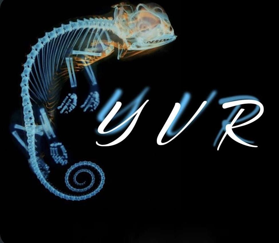 YVR PARTIES NOVEMEBER EVENT