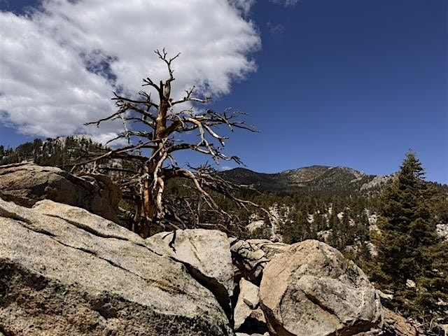 Off Trail Mountain Mystery Hike