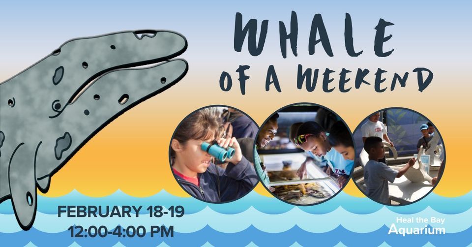 Whale of a Weekend Heal the Bay Aquarium, Santa Monica, CA February