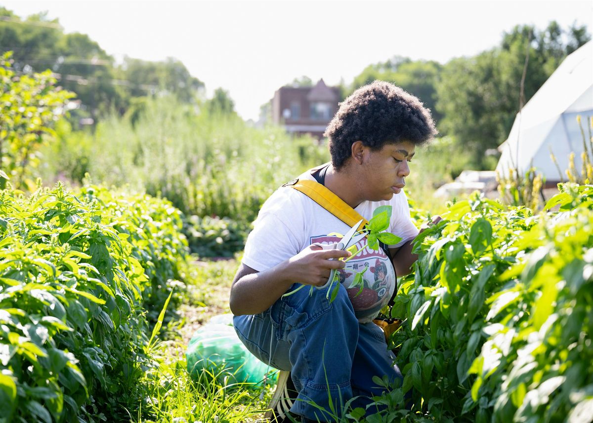 Community Herbalism Days