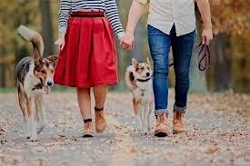 Speed Dating With My Doggie Ages 40-55