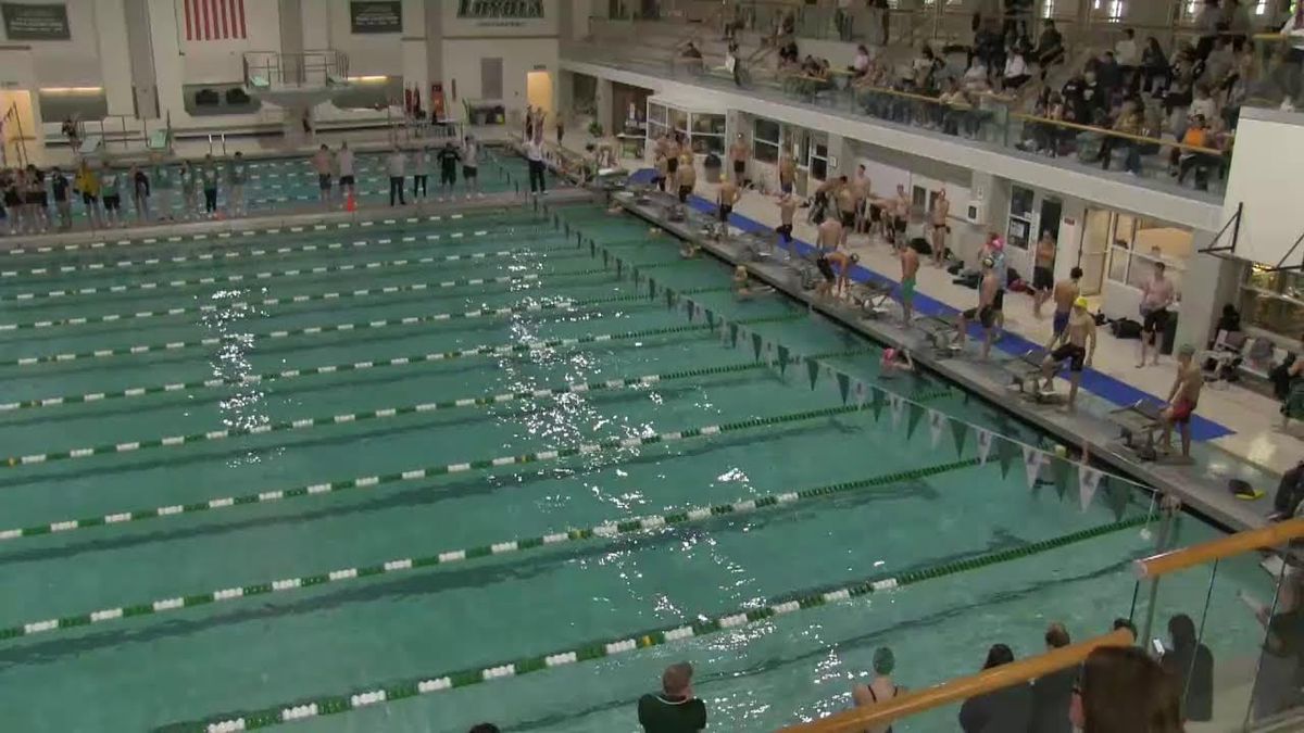 Loyola Maryland Greyhounds at Towson Tigers Womens Basketball
