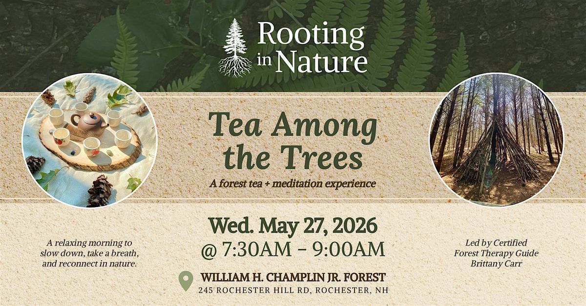 Tea Among the Trees with Rooting in Nature