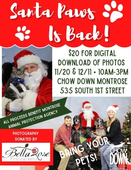 Montrose co christmas 2022