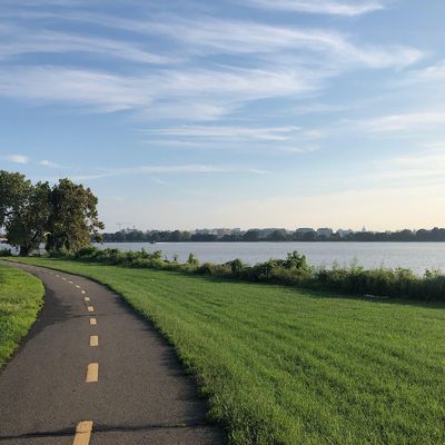 Friends of the Mount Vernon Trail