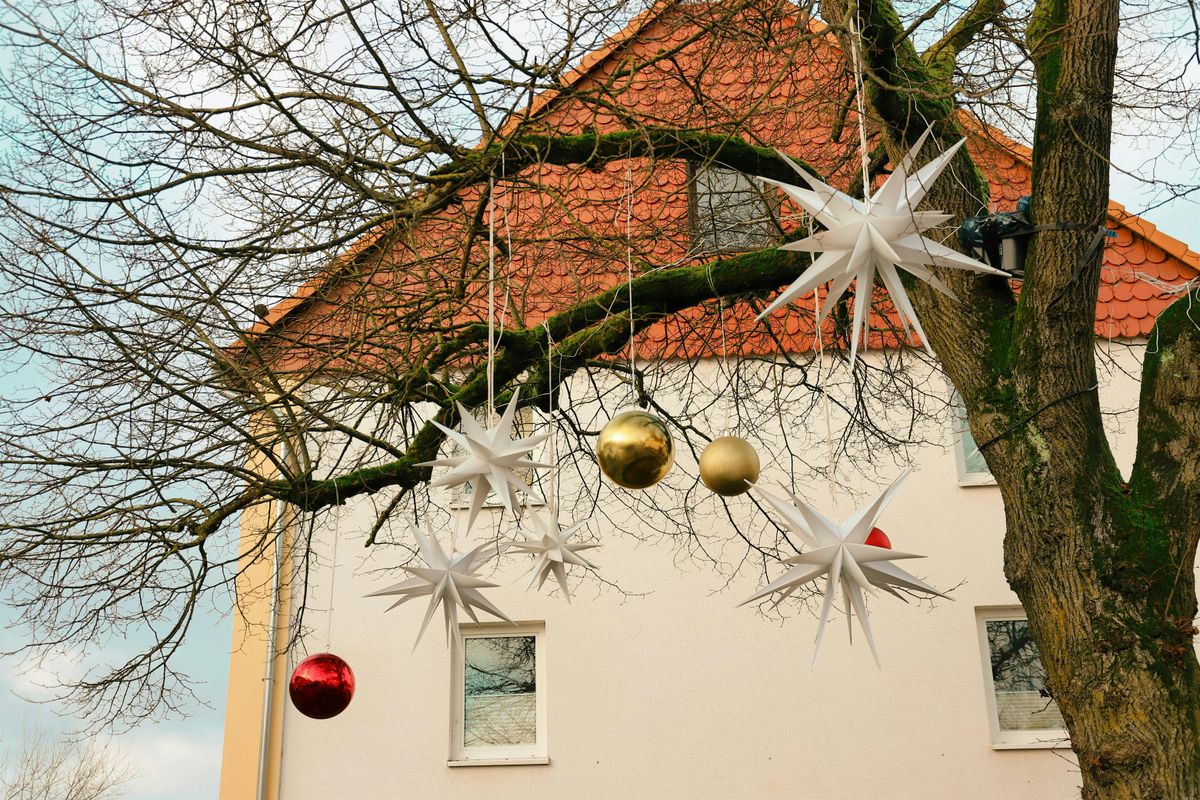 RIBA South Essex Winter Social