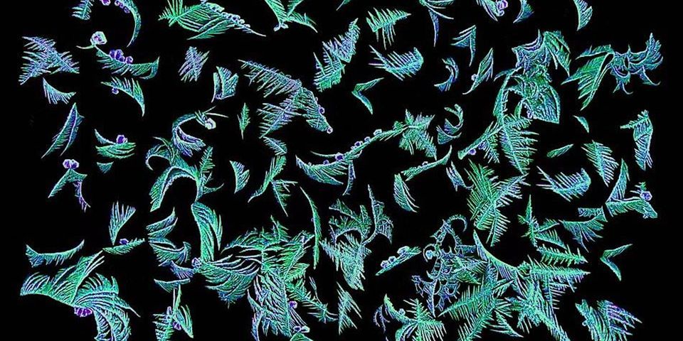 LASER Santa Fe with Patrick Lysaght