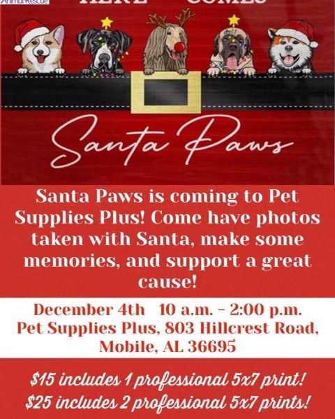 Santa Paws Holiday Pictures