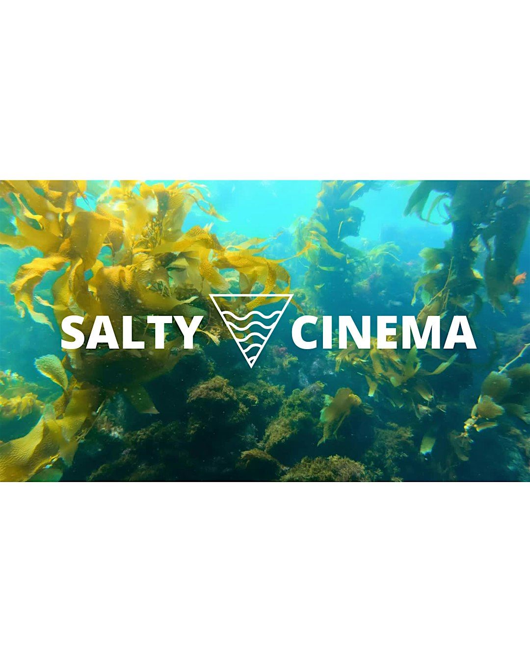 Salty Cinema Fall 2025
