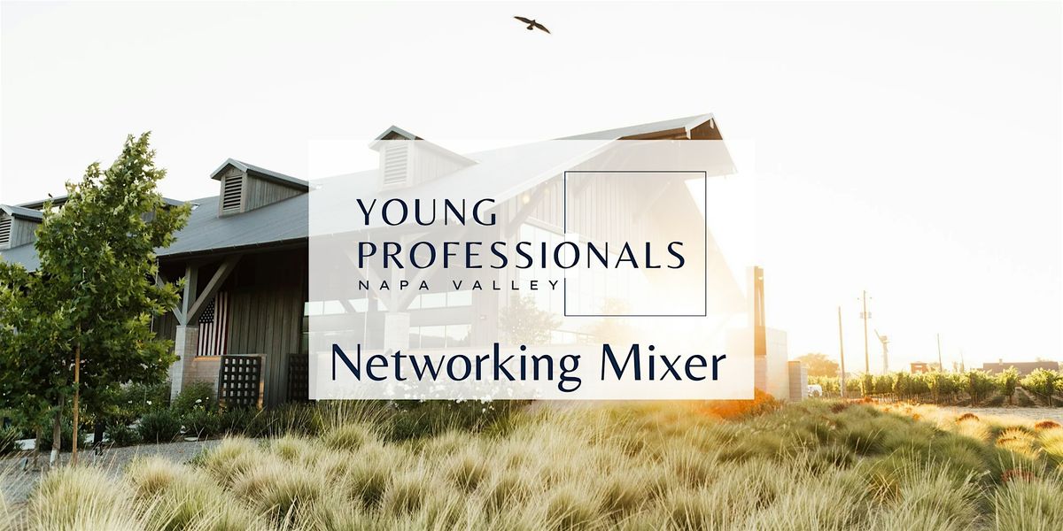 January  Networking Mixer