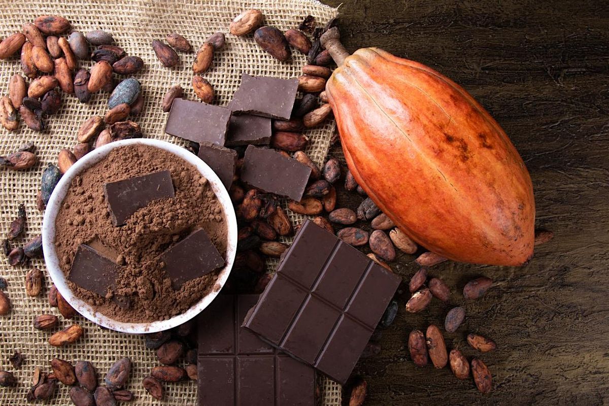 Chocolate Cooking Experience-The Short