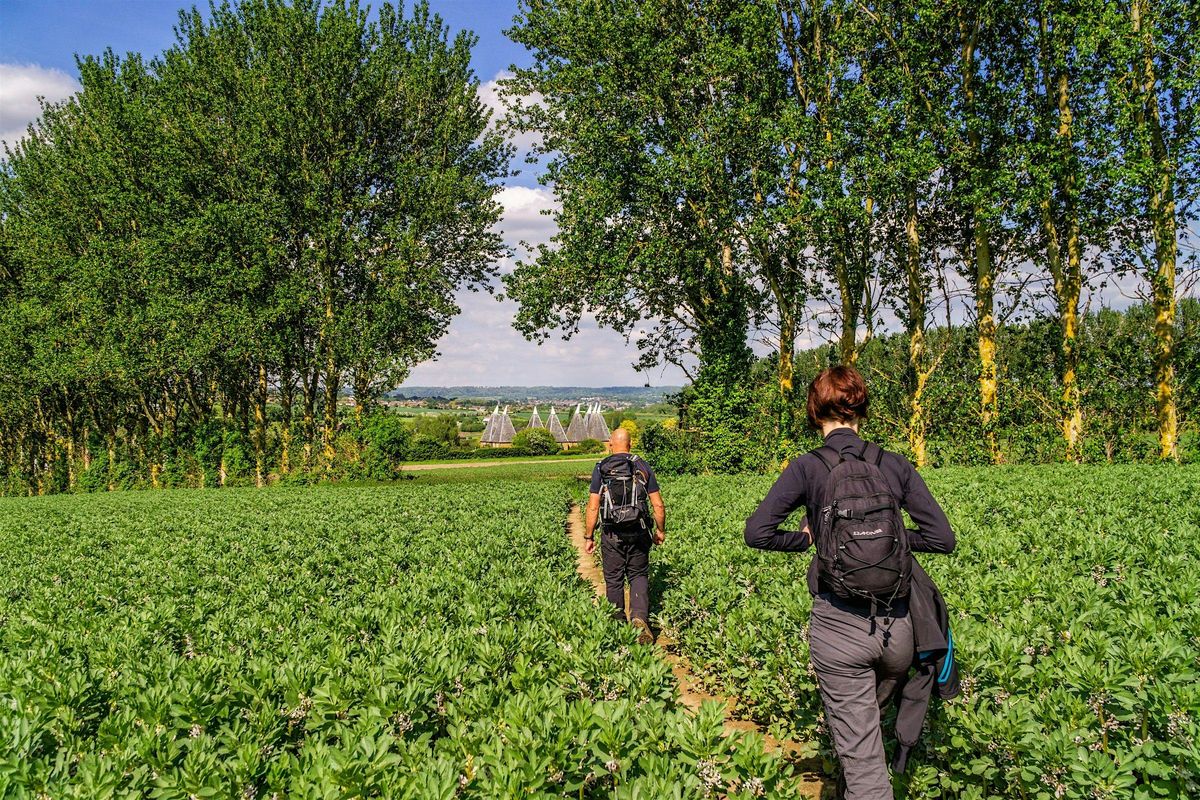 21km Medway Valley - a journey through rural scenes and historical gems