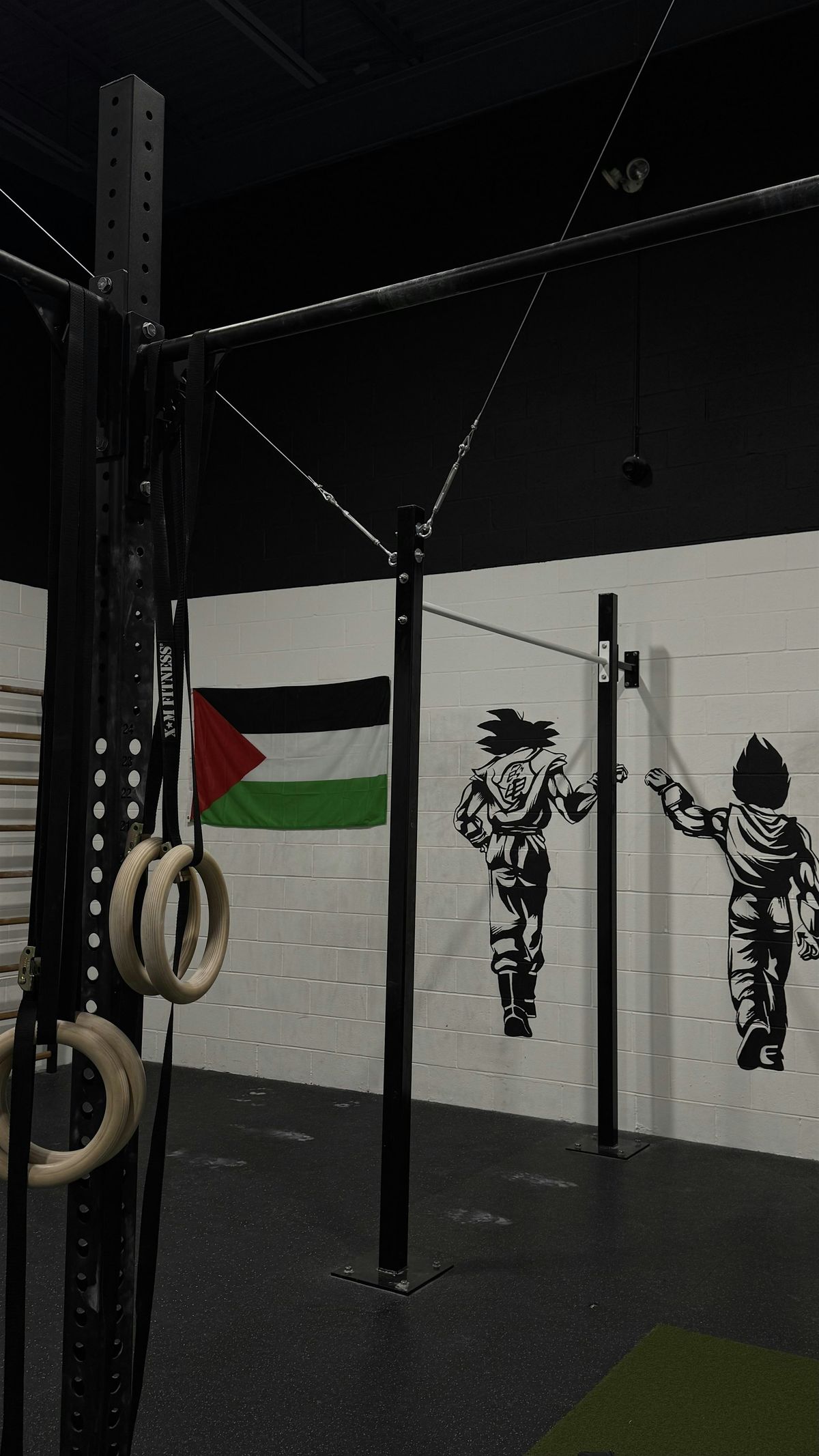 Calisthenics Charity Workshop