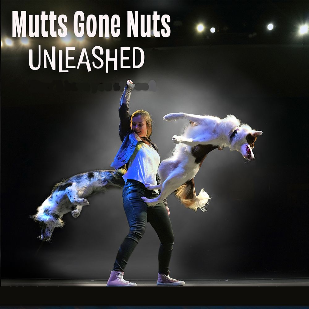 Mutts Gone Nuts