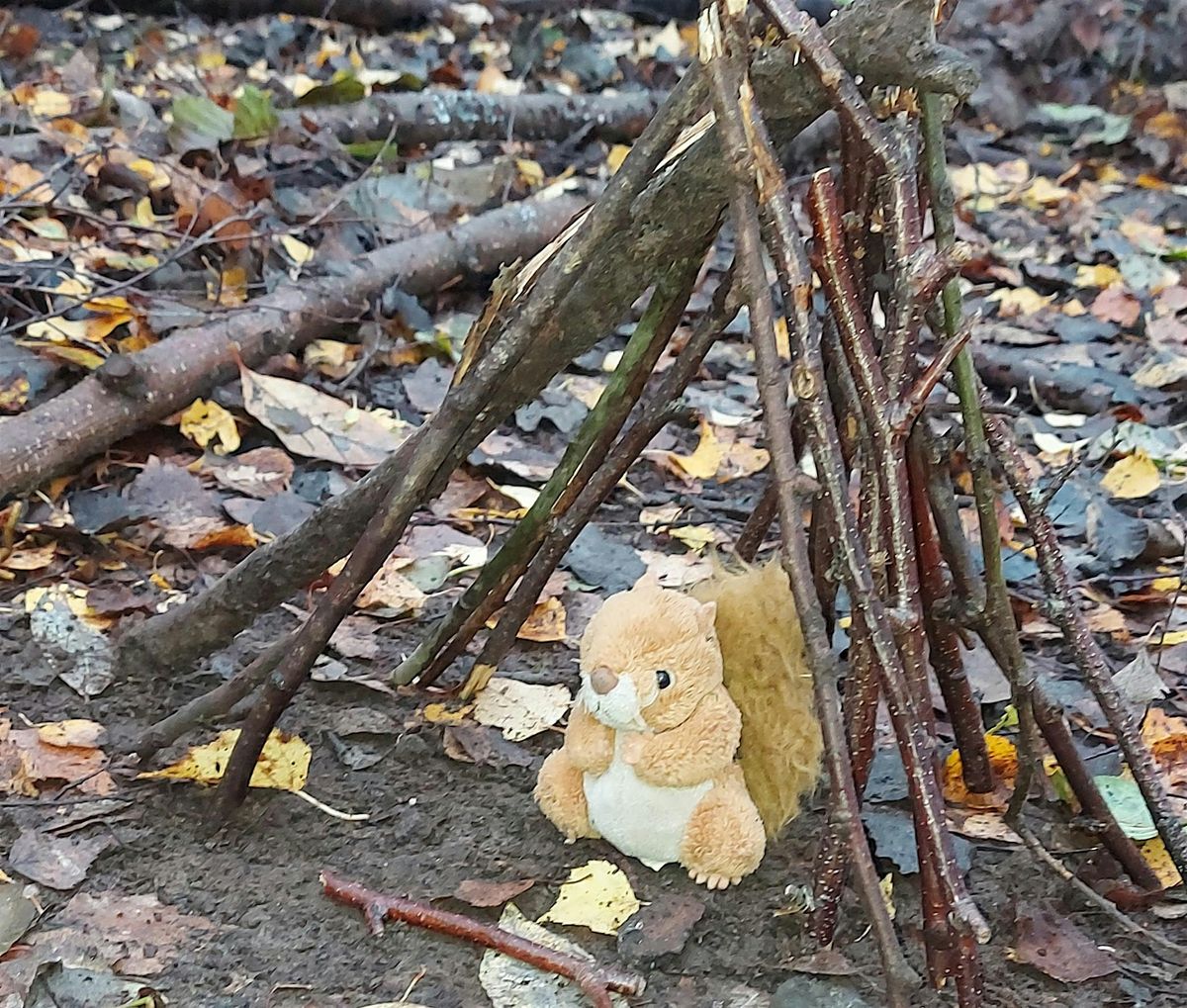 Teddy bear dens and popcorn at Hartshill Hayes Country Park