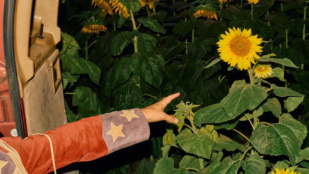 Kevin Morby, Liam Kazar in Phoenix