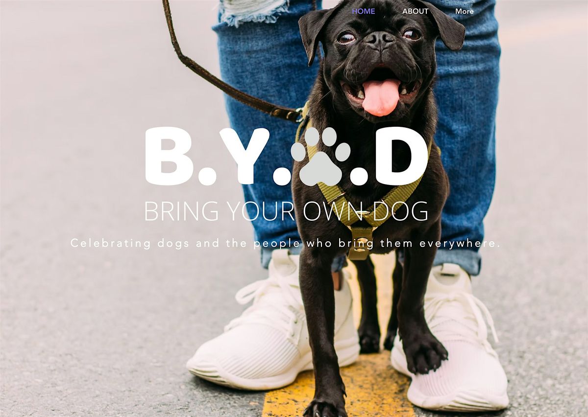 BYOD (Bring Your Own Dog)