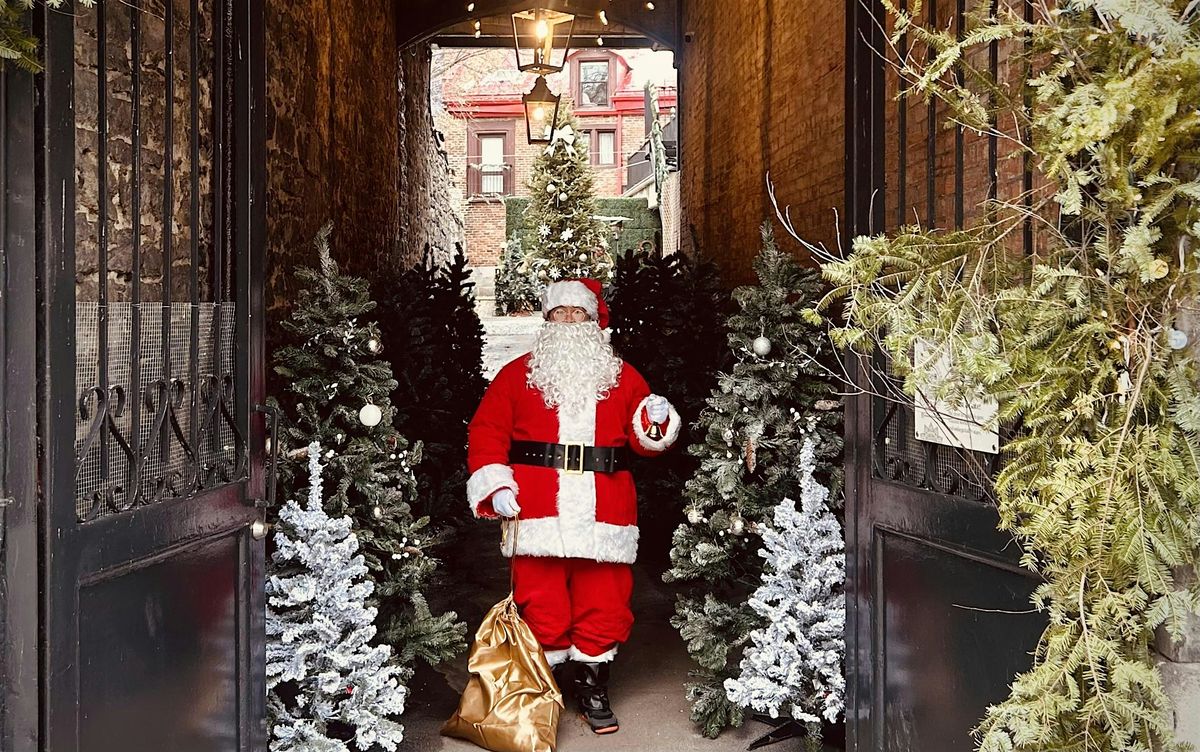 Santa & Alpacas in Old Montr\u00e9al\u2019s Winter Wonderland