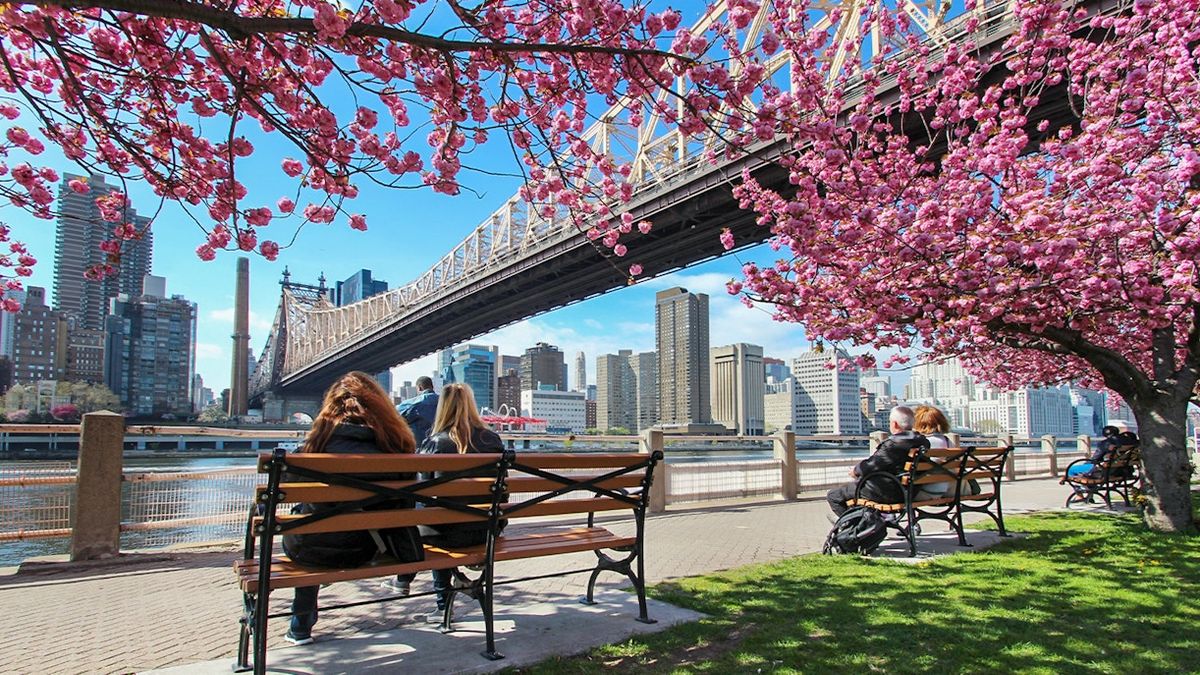 Parking MJ - The Musical - New York