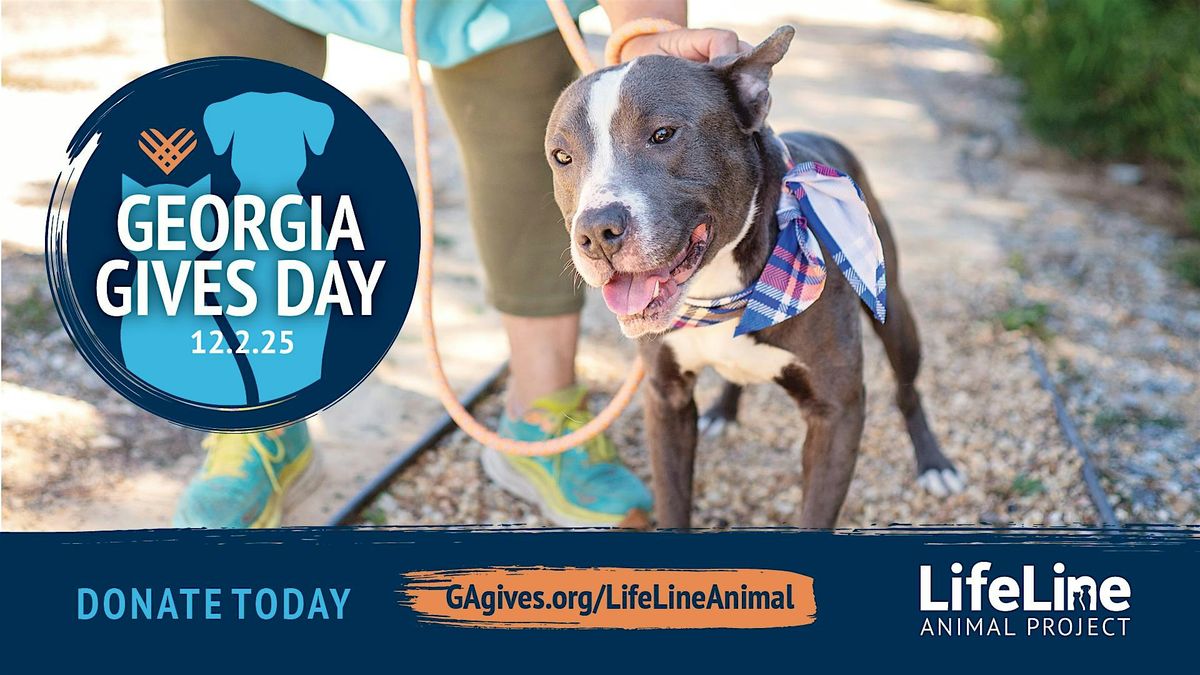 Georgia Gives Day 2025