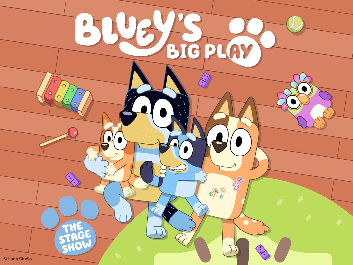 Bluey's Big Play
