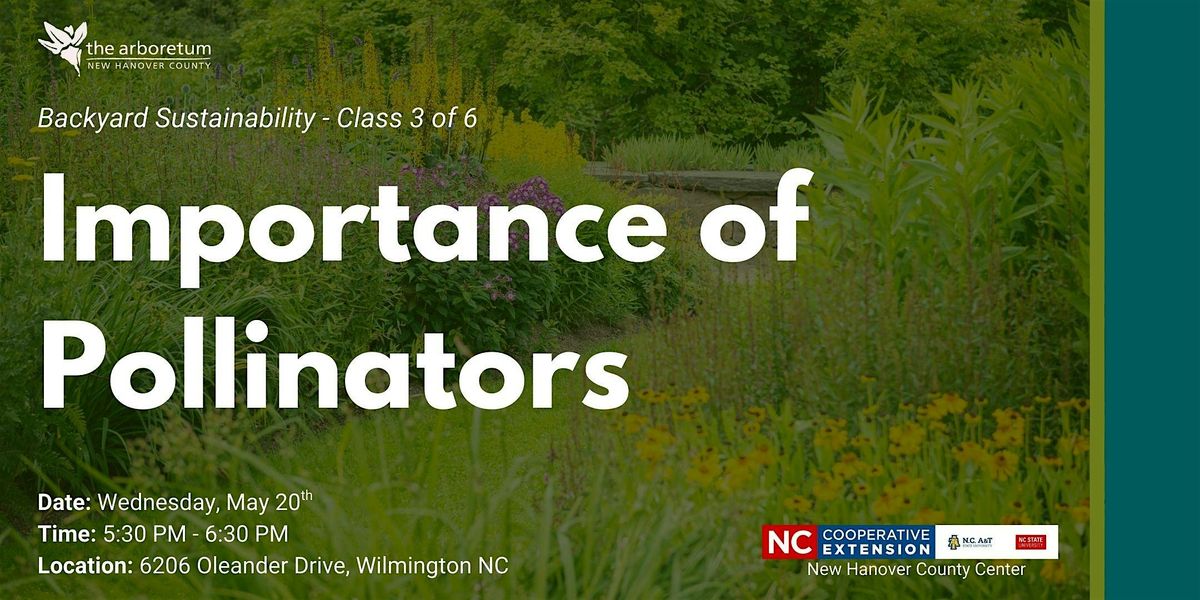 Backyard Sustainability Series: Importance of Pollinators