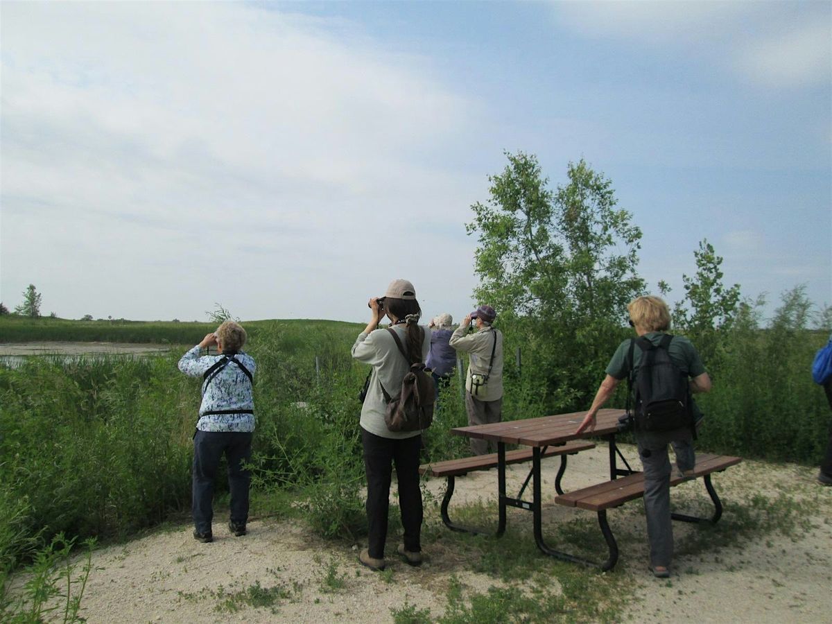 Birding for Beginners - Bunn's Creek Centennial Park