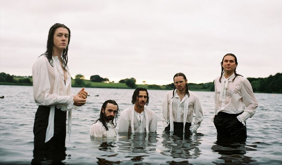 Blossoms in Newcastle