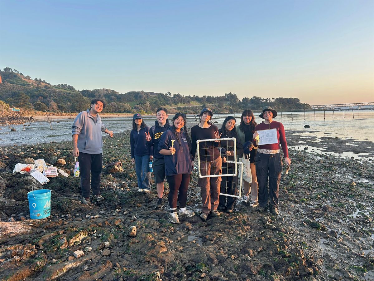 Stewardship Saturday: Discover the Bay\u2019s Oysters and Marine Life