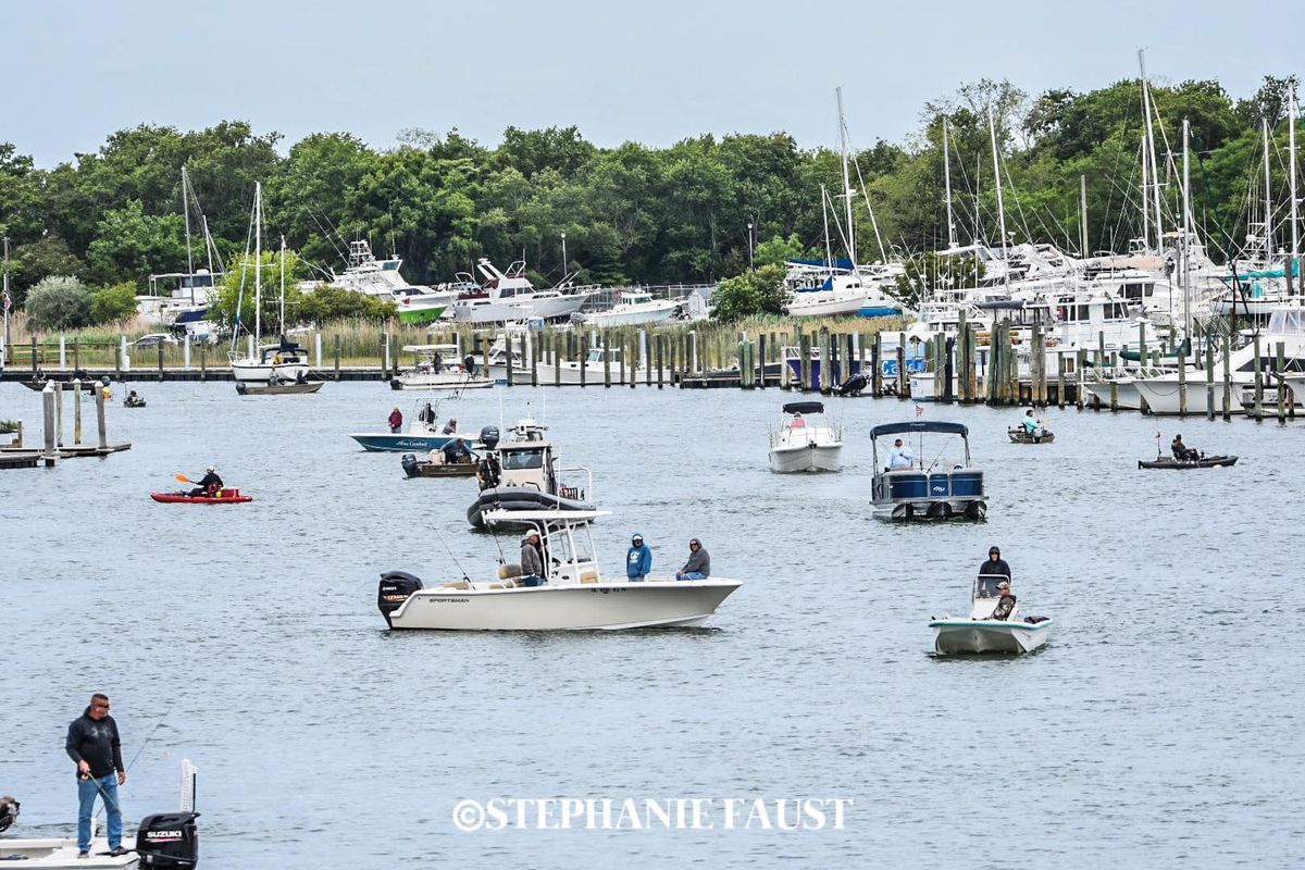 Lewes Harbour Marina Canal Flounder Tournament 217 Anglers Rd, Lewes