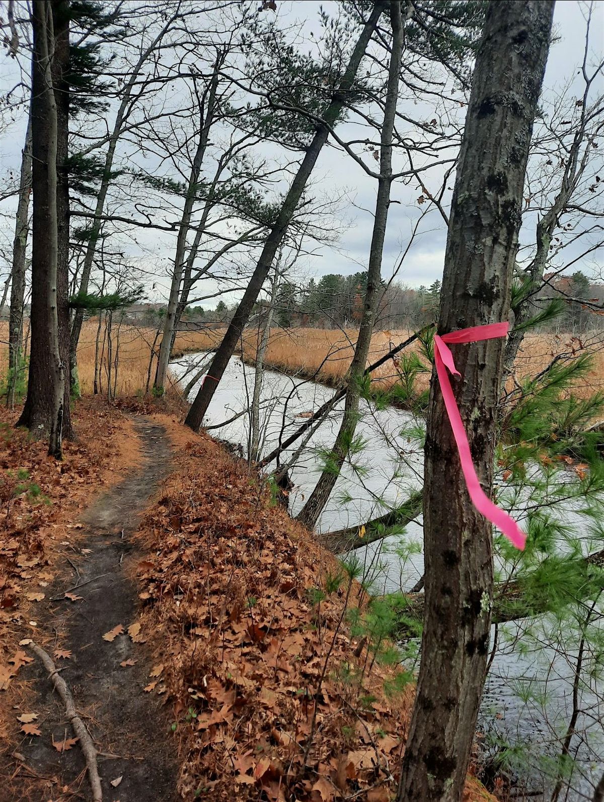 GPNEMBA Ride - Nonesuch River Woods (aka Furrland)