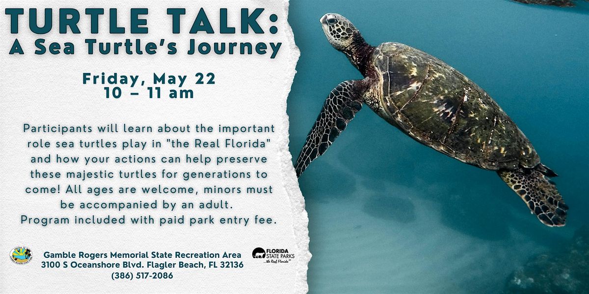 Turtle Talk: A Sea Turtle's Journey