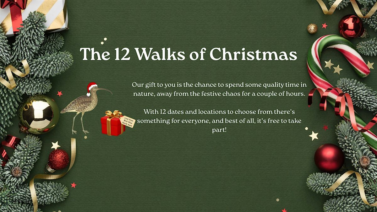 Beginners Birdwatching Walk - Riverside Country Park