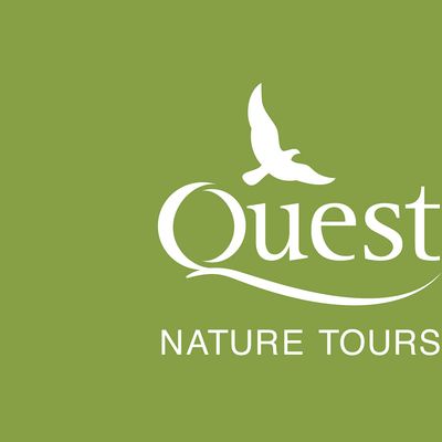 Quest Nature Tours