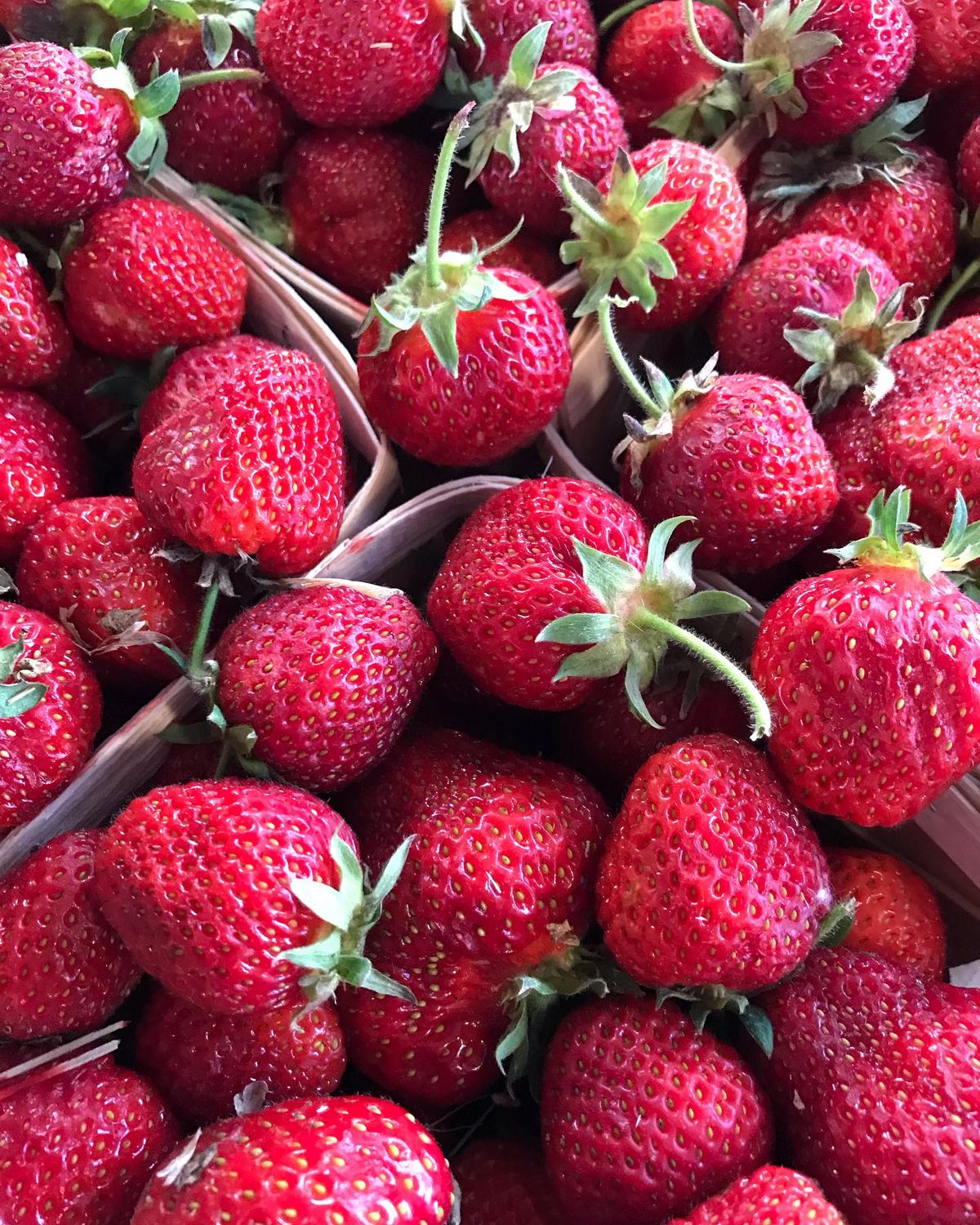 Ann Arbor Farmers Market Ann Arbor Farmers Market August 17, 2024