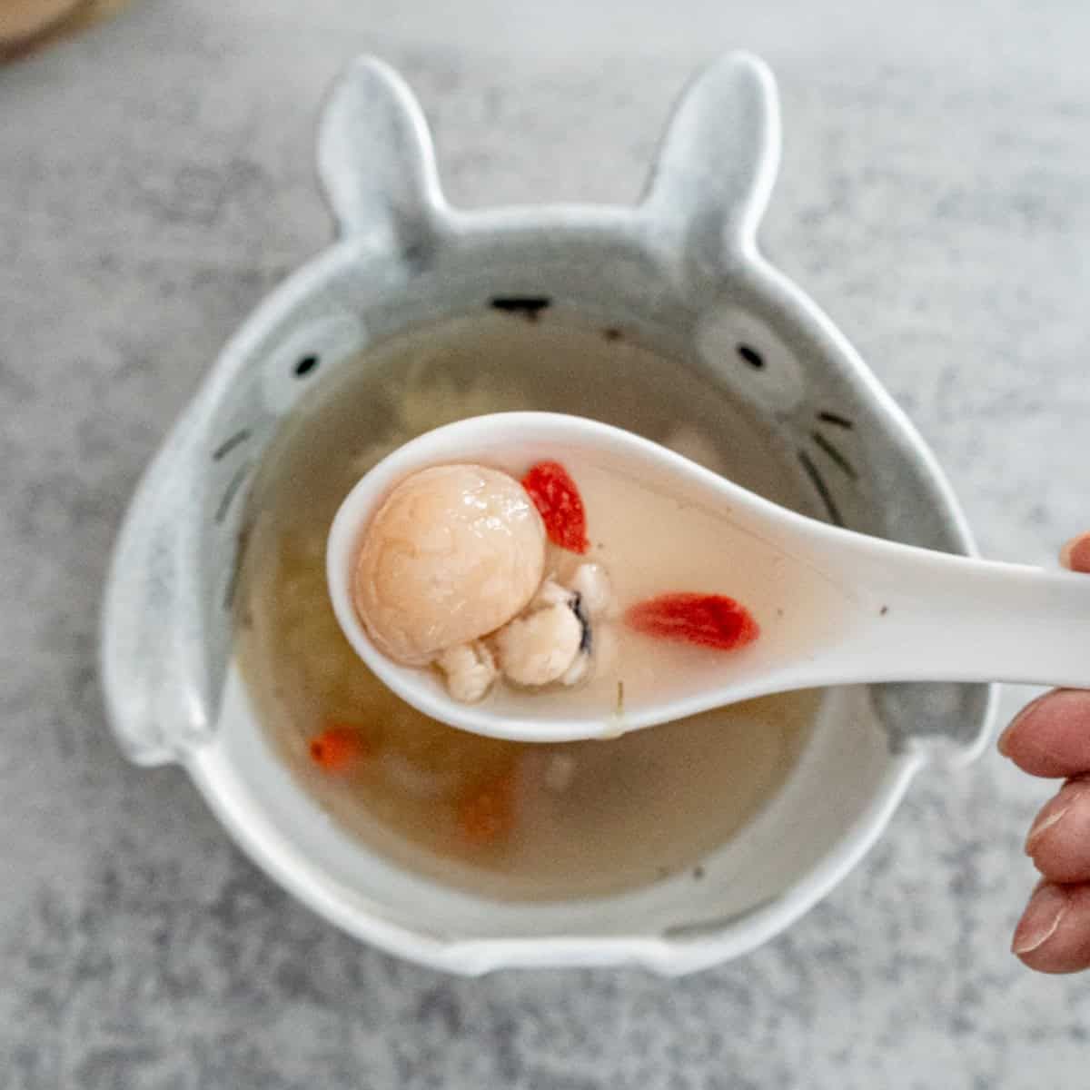 Winter Solstice Ball