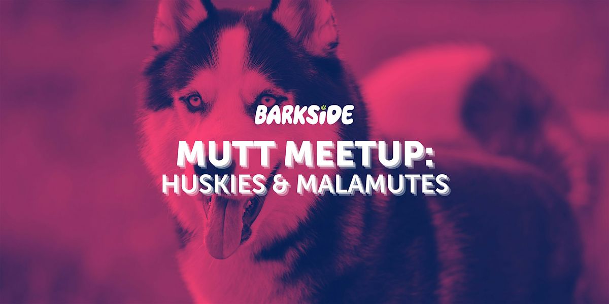 Mutt Meetup: Huskies and Malamutes