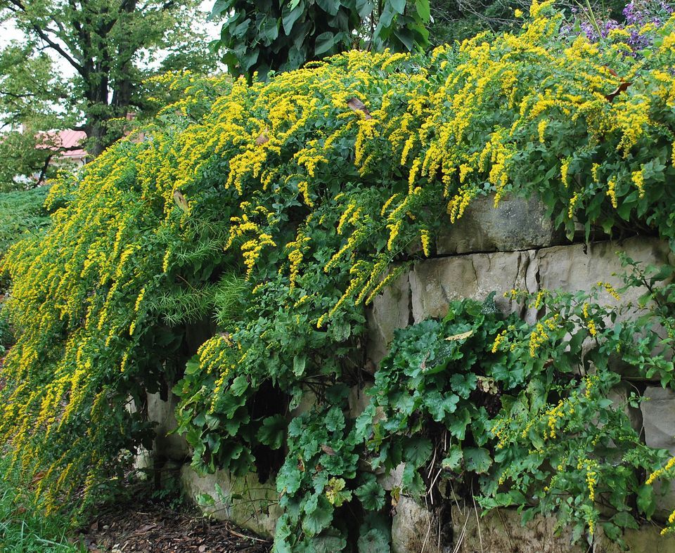 NTEU 66 Annual Members Meeting + Picnic Liberty Memorial Mall N