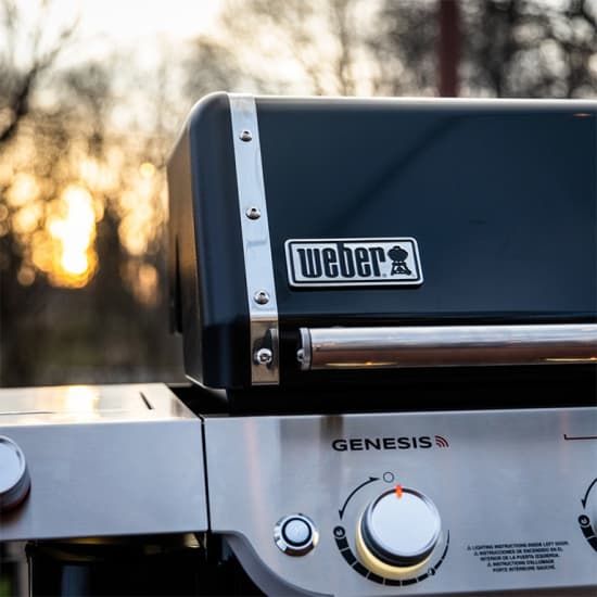 Curso de Cocina a la BBQ\/Barbacoa Certificado por Weber - Madrid