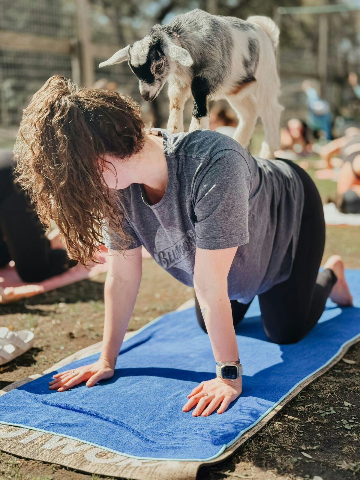 Yoga & Goats