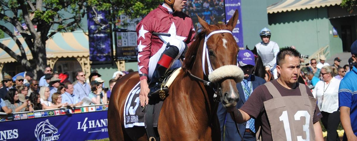 Breeders Cup - 2 Day Pass