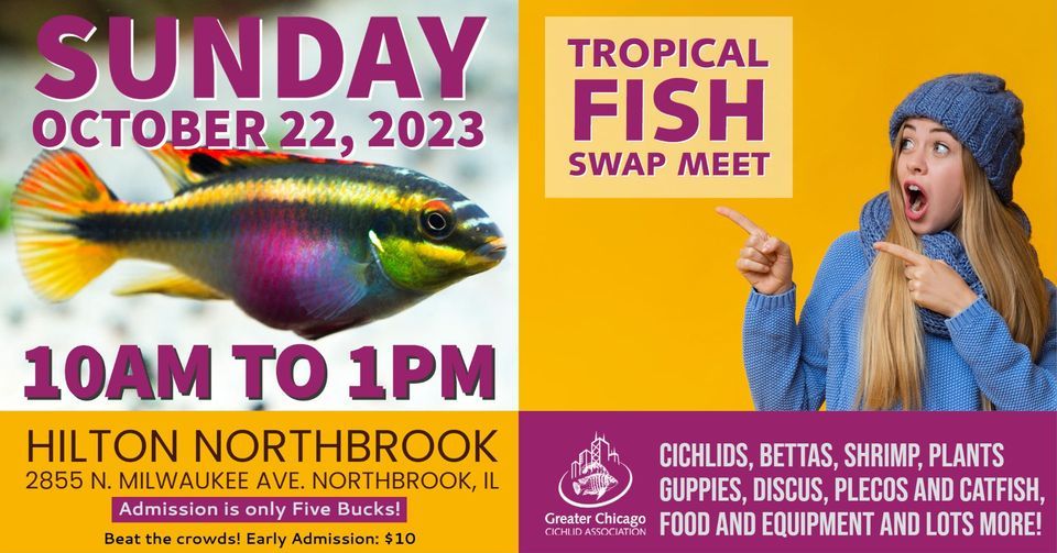 GCCA - Tropical Fish Swap