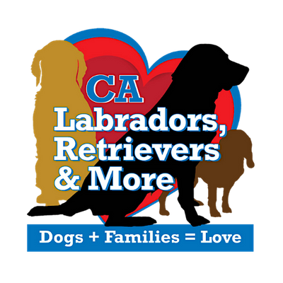 California Labradors, Retrievers and More
