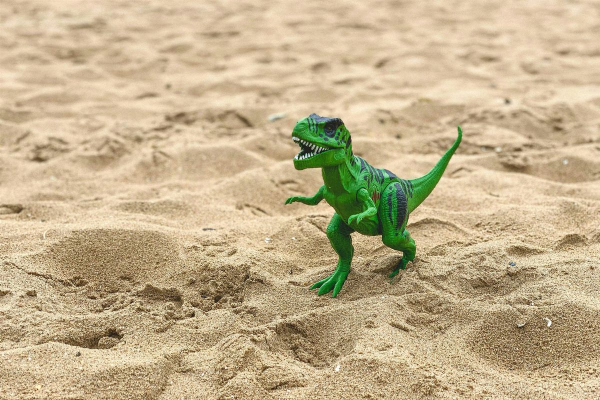 Dino Egg Discovery