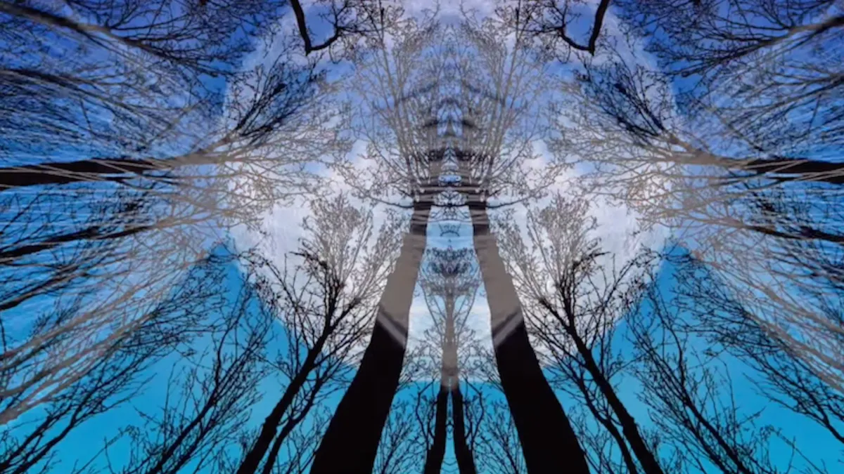 Yaima, Amtrac, Lusine, Yppah, Ramiro in Seattle