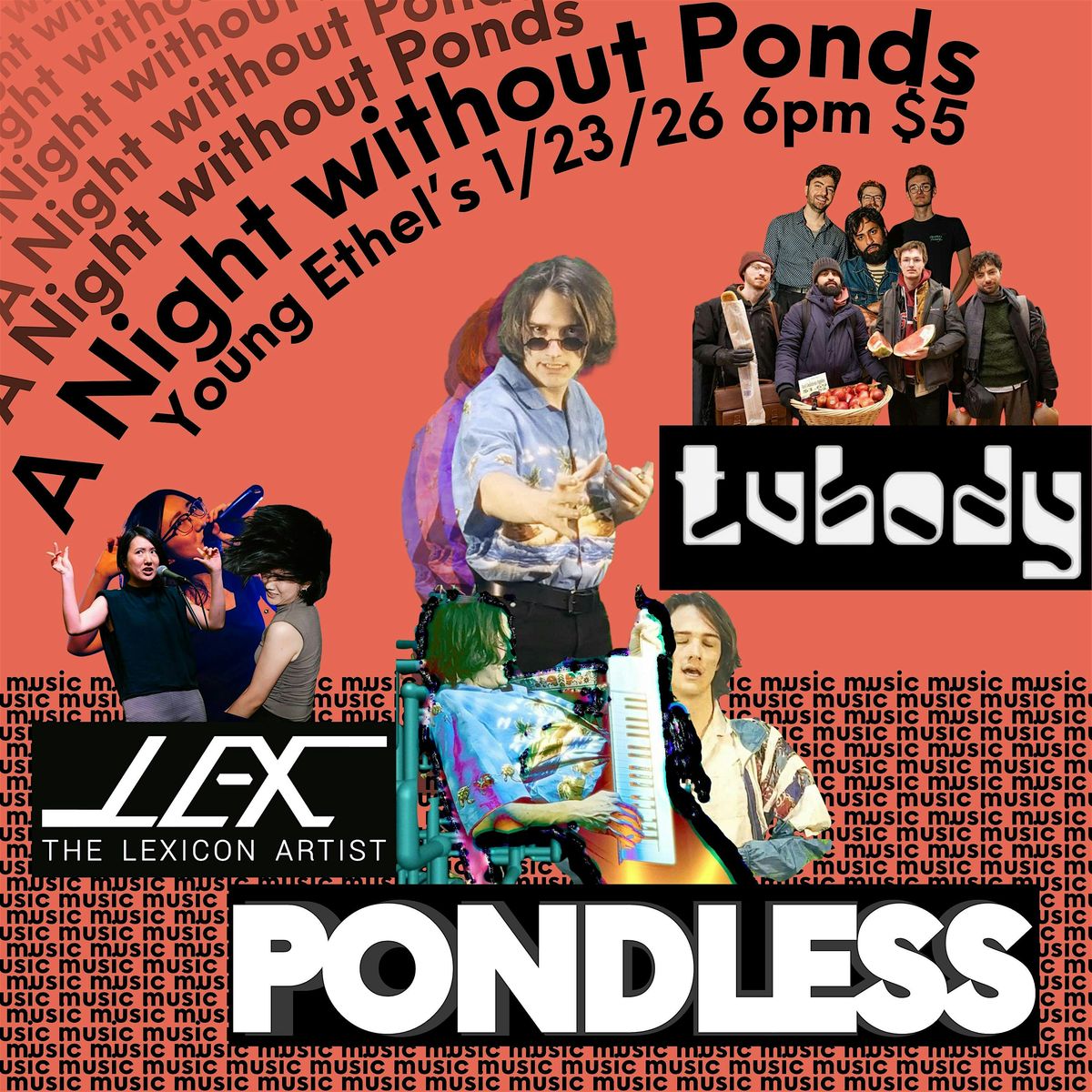 A Night without Ponds