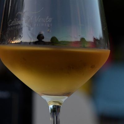 Terra Sarda Wines